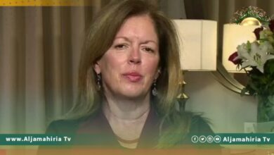 وليامز: الكرة في ملعب البرلمان لتحديد الخطوات المقبلة نحو الانتخابات