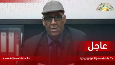 عاجل| المريمي: لجنة خارطة الطريق ستقدم تقريرها النهائي لمجلس النواب فور انتهاء اتصالاتها