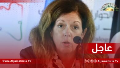 ويليامز لـ "سبوتنيك": من صلاحيات البرلمان تغيير الحكومة الحالية لكن بشروط محددة