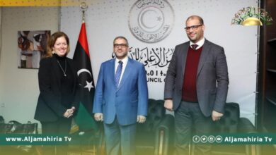 ويليامز والمشري يناقشان سبل الإسراع في إنجاز الاستحقاق الانتخابي