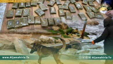 أمن السواحل يضبط كمية كبيرة من الحشيش أثناء البحث عن "أبو لميدة"