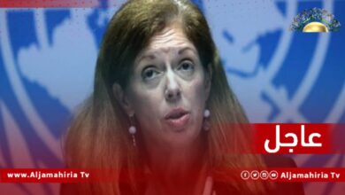 ويليامز : الانتخابات ضرورية لتحقيق المصالحة الوطنية