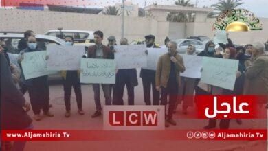 عاجل| منظمة رصد الجرائم: المتظاهرون تعرضوا للاعتقال التعسفي والدهس والضرب والتهديد