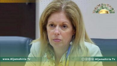 وليامز: إجراء الانتخابات قبل يونيو مازال ممكنا