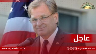 عاجل| نورلاند: الولايات المتحدة تتفق مع وليامز في أن الانتخابات هي الأولوية