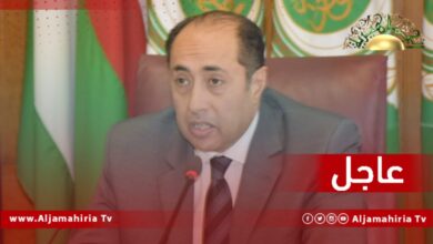 عاجل// الجامعة العربية: وليامز خلال لقائها مع أبو الغيط لم تطرح خطة واضحة المعالم أو أي جدول زمني