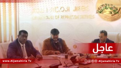 اللجنة النيابية للمؤسسات السيادية