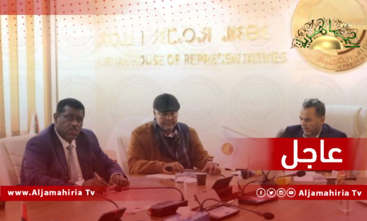 اللجنة النيابية للمؤسسات السيادية