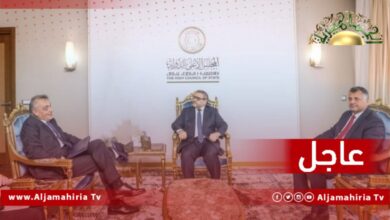 خالد المشري يلتقي السفير الايطالي