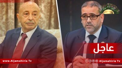 عقيلة صالح والمشري