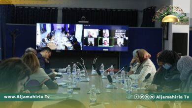 لميس بن سعد: أصحاب المصلحة يبحثون عن خارطة طريق أخرى