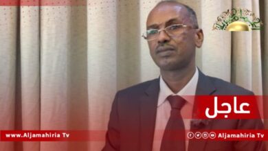 أبو بكر مردة