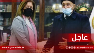 عاجل// عقيلة صالح لـ"وليامز": مجلس النواب قادر على العمل على المصالحة الوطنية الشاملة بالتعاون مع الرئاسي وكافة الأطراف