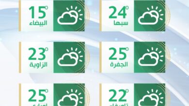 الأرصاد الجوية: طقس متقلب وأجواء دافئة اليوم مع رياح نشطة على الغرب