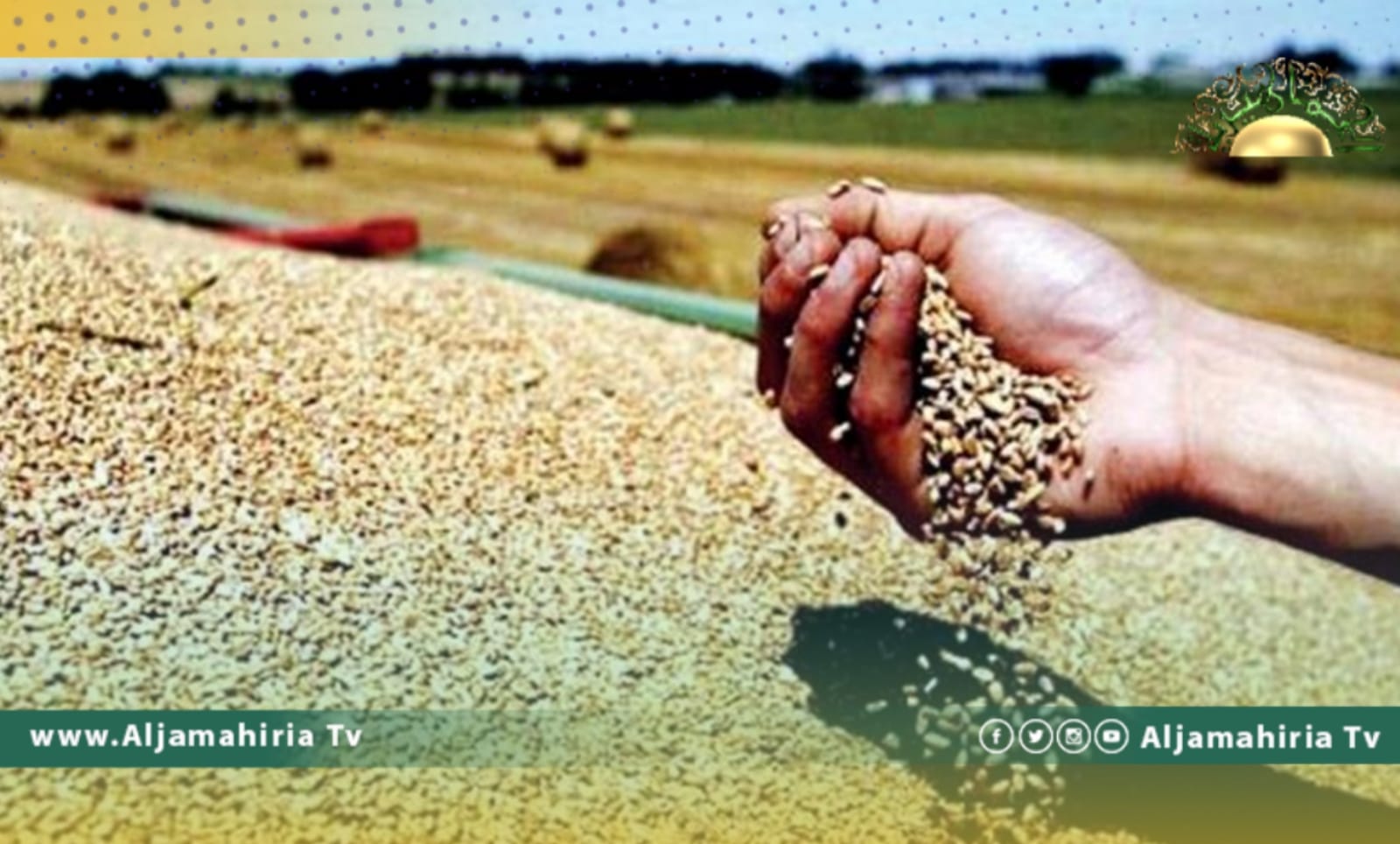 ليبيا توفر 43% من القمح الذي تحتاجه من أوكرانيا