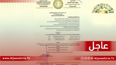 عاجل// وزير التعليم العالي يصدر قرار بتشكيل لجنة لفحص قوائم قرار رقم (231) لسنة 2022م لايفاد طلبة للدراسة العليا بالخارج