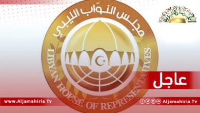 عاجل// عبد السلام نصية: أقصر مدة لتنفيذ مقترح خارطة الطريق 45 يوما وأقصاها 14 شهرا