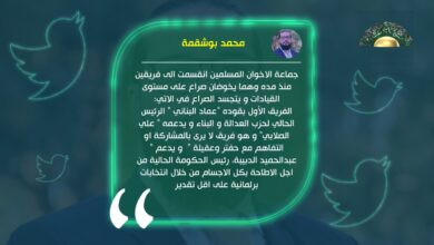 بوشقمة: تنظيم الإخوان انقسموا فريقين وصوان والمشري هما من يقودان التسوية مع عقيلة وحفتر