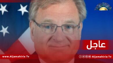 عاجل// نورلاند: الانتخابات ليست غاية في حد ذاتها لكنّها المفتاح لاستعادة الشرعية في ليبيا ومن أجلكم ومن أجل أطفالكم