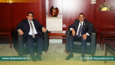 المنفي يلتقي رئيس النيجر..وهذا ما تم بحثه