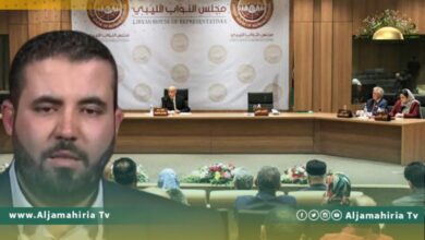 متحدث الدولة