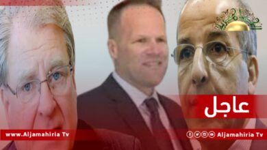 ماير ونورلاند والكبير