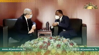 تونس تؤكد ضرورة تفعيل الدور الأفريقي في تحسين الوضع السياسي في ليبيا