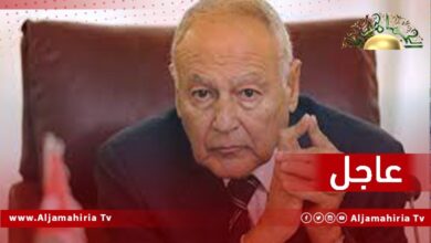 عاجل// أبو الغيط: نناشد كافة الأطراف الليبية العمل على تجنب شبح الانقسام أو اللجوء إلى العنف أو حتى التلويح به