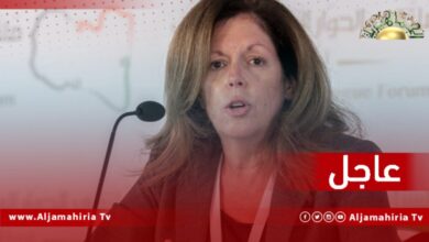 عاجل| وليامز: مهمة اللجنة وضع قاعدة دستورية خلال 14 يوما تبدأ من 15 مارس وتجتمع في مكان تحدده كل الأطراف