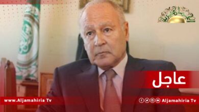 عاجل// أبو الغيط: الاتفاق على عقد القمة العربية في الجزائر نهائي ولا حديث عن تأجيل