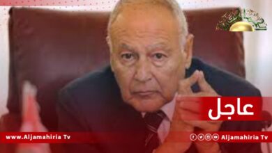 أبو الغيط: مشاركة 20 وفداً على مستوى وزراء الخارجية