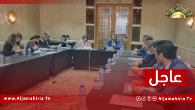 عاجل| وليامز تؤكد لأعضاء مجلس الدولة أن أفضل طريقة للمضي قدماً هي التمكن من إجراء انتخابات نزيهة وذات مصداقية