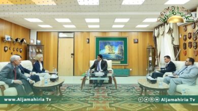 المنفي: مبادرة وليامز بشأن إيجاد قاعدة دستورية خطوة لإنجاح الانتخابات