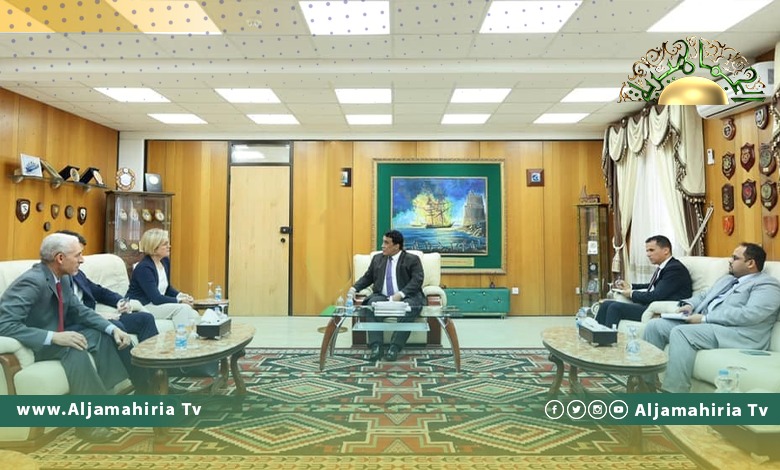 المنفي: مبادرة وليامز بشأن إيجاد قاعدة دستورية خطوة لإنجاح الانتخابات