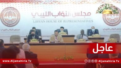 عاجل// عضوة بالبرلمان: الموافقة على إعداد قاعدة دستورية ليست مرفوضة شرط عدم المساس بالتعديل الـ12 الصادر عن مجلس النواب