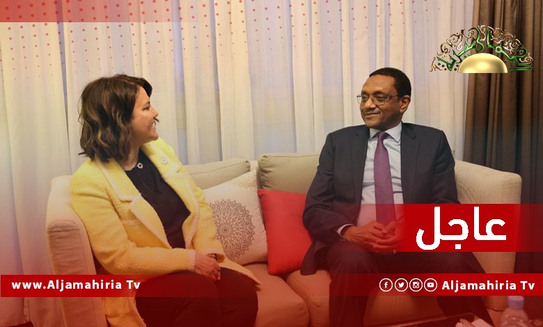 عاجل// وزير الخارجية التشادي شريف زين: يجدد على دعم تشاد لجهود حكومة الوحدة الوطنية والتمسك بالمسار الديمقراطي في ليبيا للوصول للانتخابات