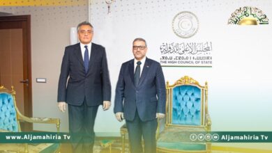 المشري يبحث مع السفير الإيطالي سبل إنجاح الانتخابات