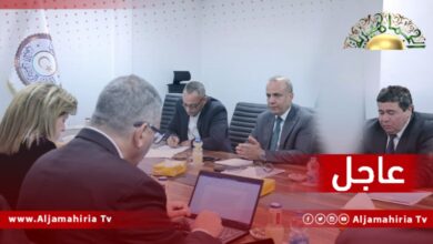 عاجل| وليامز: أطلعت اللافي والحافي على مبادرة اللجنة المشتركة للتوصل إلى قاعدة دستورية توافقية توصل لانتخابات في أقرب وقت ممكن