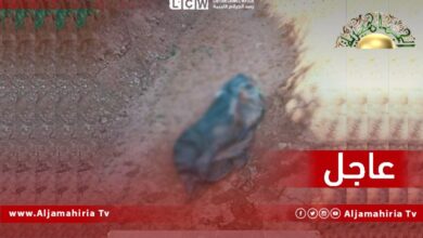 عاجل// رصد الجرائم الليبية: الجثتين مكبلتي الأيدي وعليهما آثار رصاص في الرأس