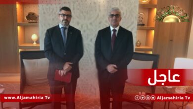 عاجل// ساباديل: ركزت في اجتماعي مع باشاغا على إيجاد حل سياسي للمأزق الحالي المؤدي إلى الانتخابات