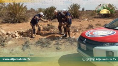 مسح وبائي لمعرفة مدى انتشار مرض اللشمانيا في تاورغاء