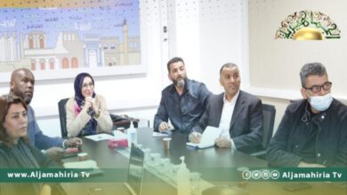 المفوضية: سنعمل على وضع قاعدة بيانات قوية لرصد العنف الموجه ضد المرأة والمخالفات الانتخابية