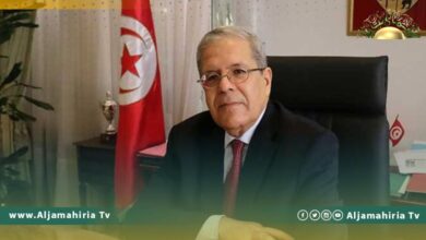 الجرندي: استقرار ليبيا يُسهم في التّصدّي لكلّ الآفات التي تُهدّد منطقتنا