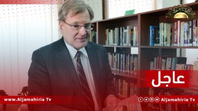 نورلاند: ندفع وشركاءنا الدوليين نحو إجراء الانتخابات، وندعم كل ما تقوم به وليامز والأمم المتحدة لتسهيل ذلك