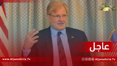 نورلاند: هناك مخاوف من إغلاق المجال الجوي الليبي بين الشرق والغرب، نطالب مع جهات دولية أخرى بإعادة فتحه