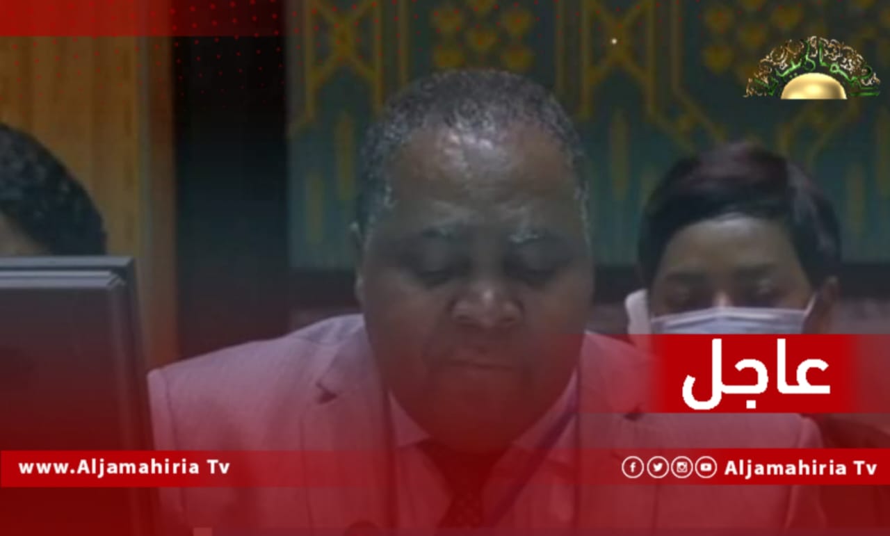 مندوب الجابون وغانا وكينيا: القوات الأجنبية والمرتزقة في ليبيا تمثل تهديدا لمنطقة الساحل، بسبب حدودها المفتوحة