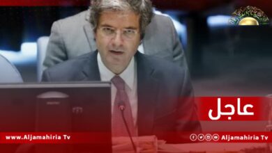 مندوب فرنسا: يجب السماح بحرية الحركة داخل البلاد، للمحافظة على وحدة ليبيا، وبالأخص فيما يتعلق بالمجال الجوي.