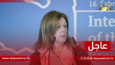 عاجل| وليامز تدعو المشري لتسمية الممثلين للمجلس في اللجنة قبل 8 مارس الجاري