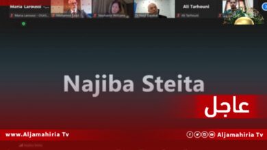 عاجل| وليامز تؤكد دور الأحزاب في الظروف الحالية وتشيد بتوجههم لإيجاد حل شامل بأياد ليبية