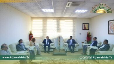 قبيل بدء موسم الصيف.. العبدلي يلتقي سفير تركيا لبحث دعم الكهرباء وعودة الشركات التركية